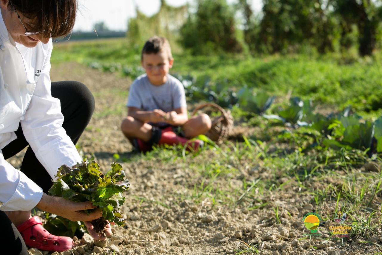 מרקון Agriturismo Ai Carpini מראה חיצוני תמונה