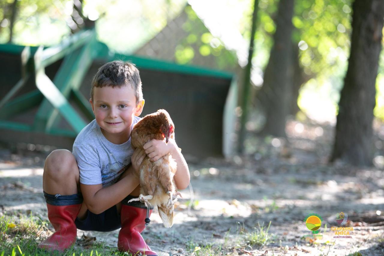 הוילה מרקון Agriturismo Ai Carpini מראה חיצוני תמונה