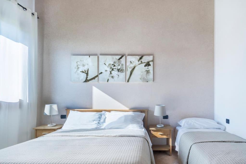 מרקון Agriturismo Ai Carpini מראה חיצוני תמונה